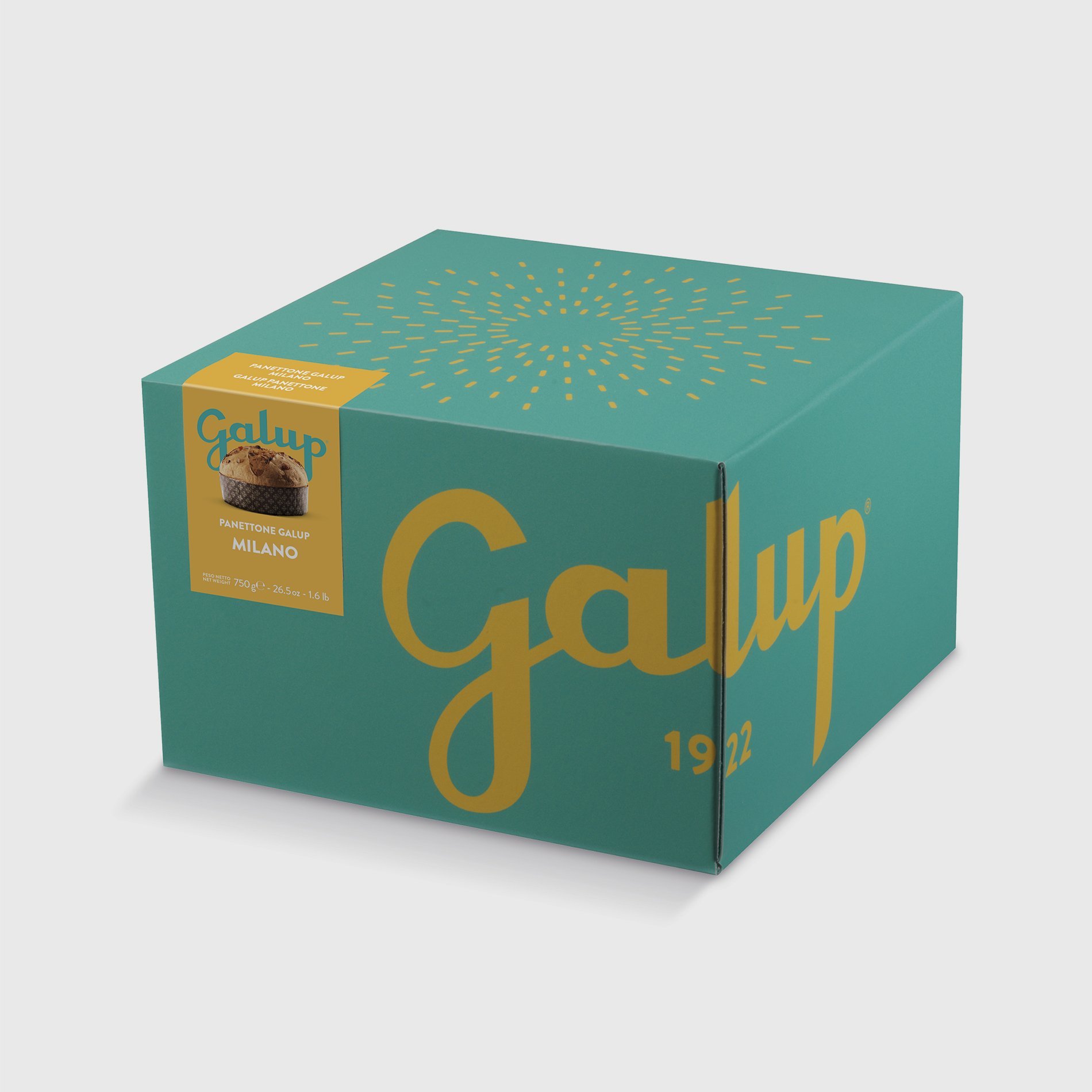 Panettone Galup Milano 750g